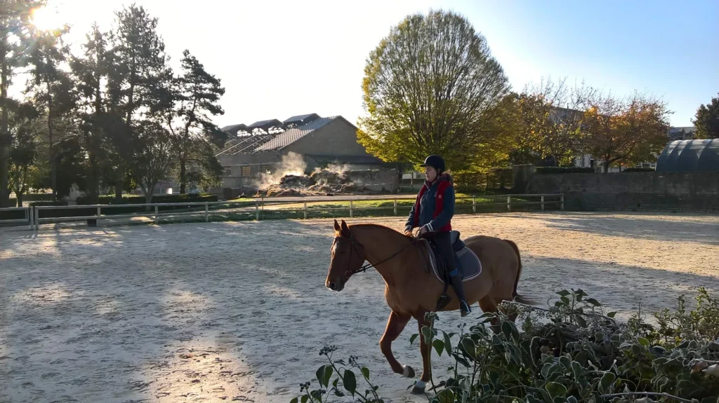 Cheval à Cluny