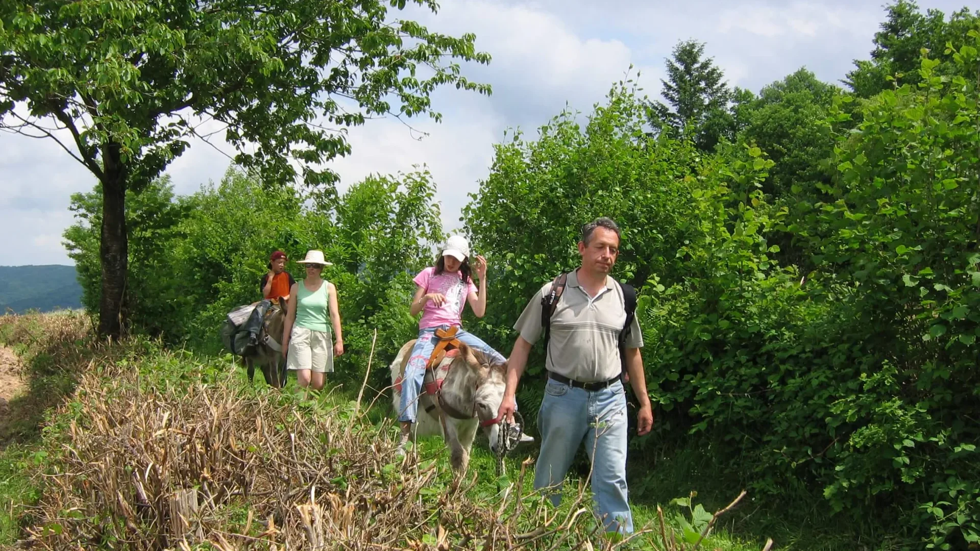 Balade avec les anes en Sud Bourgogne