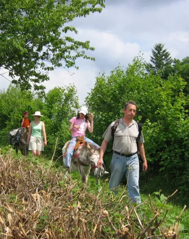 Balade avec les anes en Sud Bourgogne