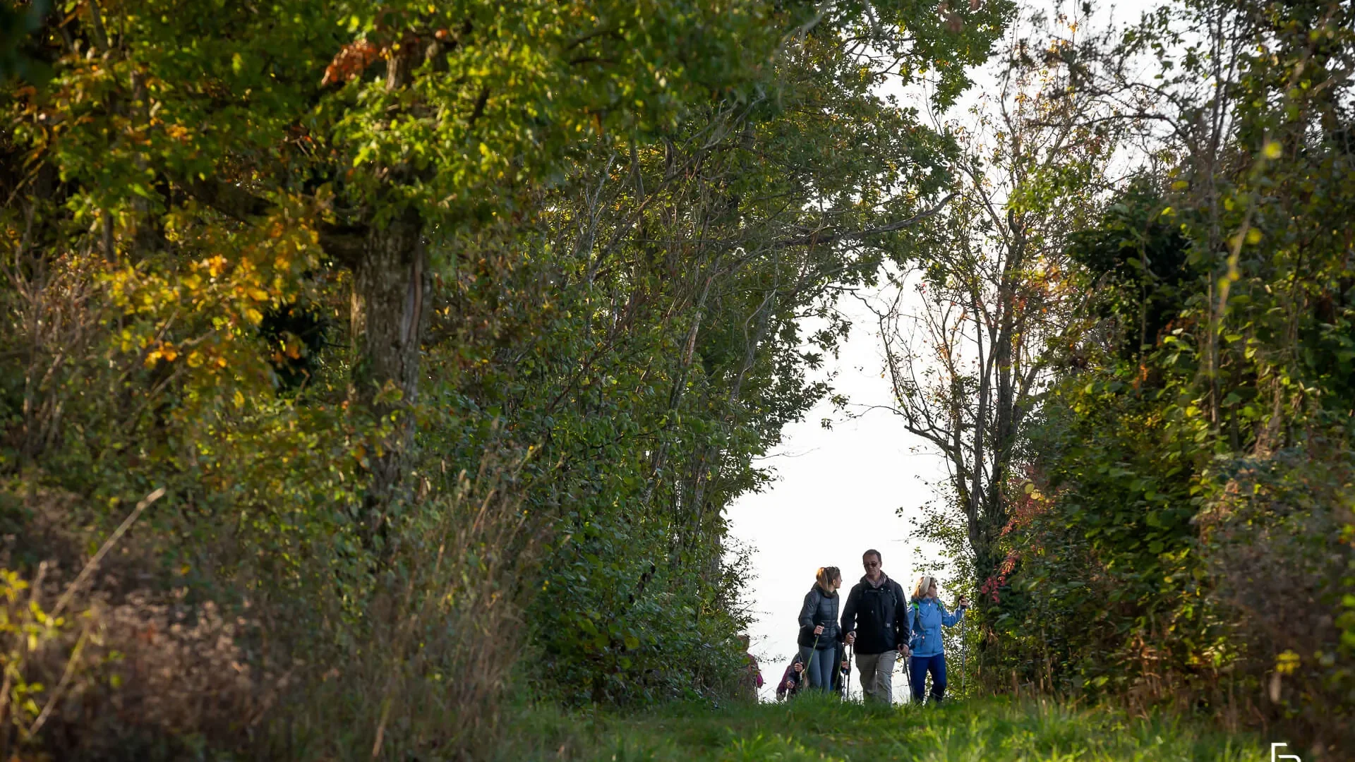 Randonnée pédestre en clunisois Sud Bourgogne