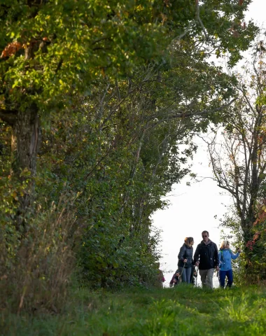 Randonnée pédestre en clunisois Sud Bourgogne