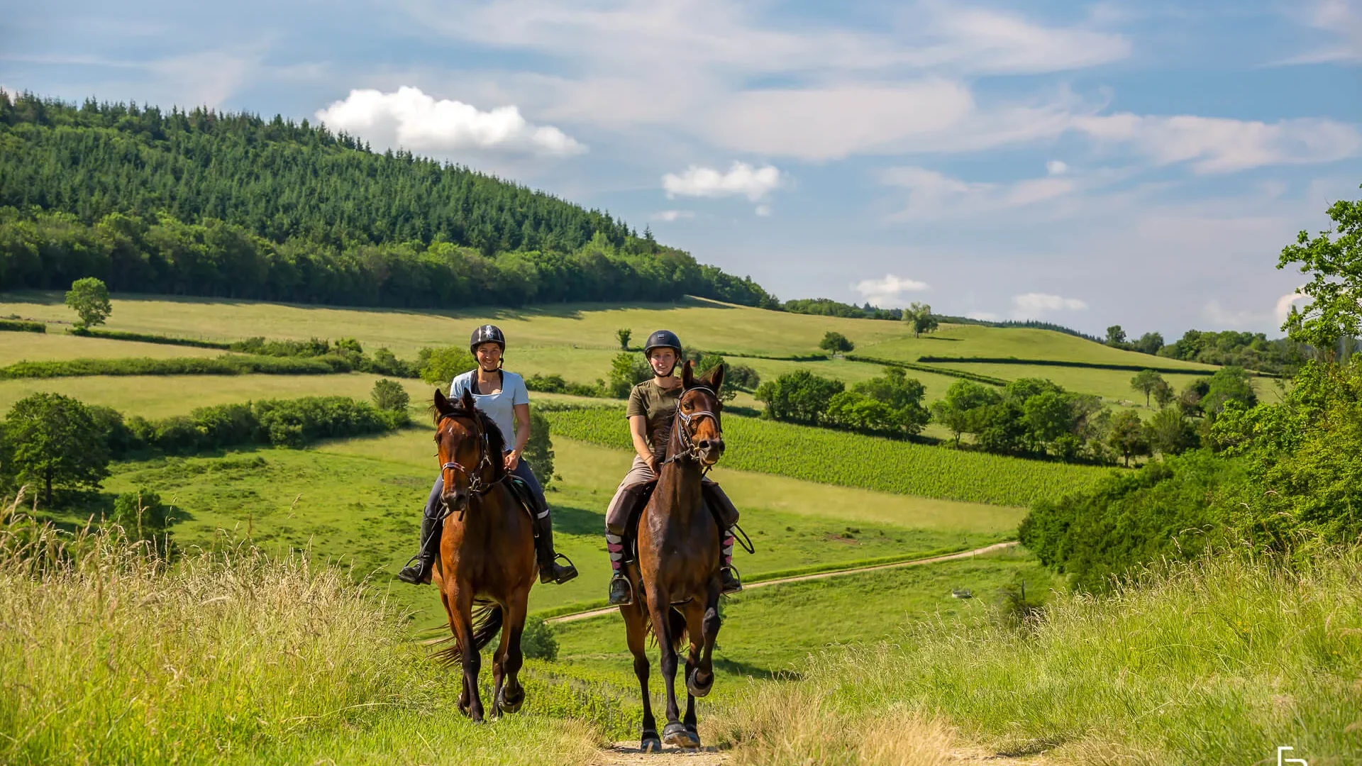 Balade à cheval en clunisois Sud Bourgogne