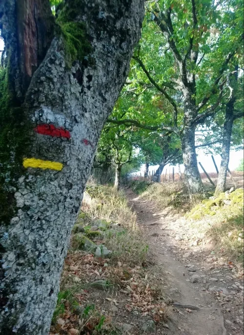 Balades et randonnées