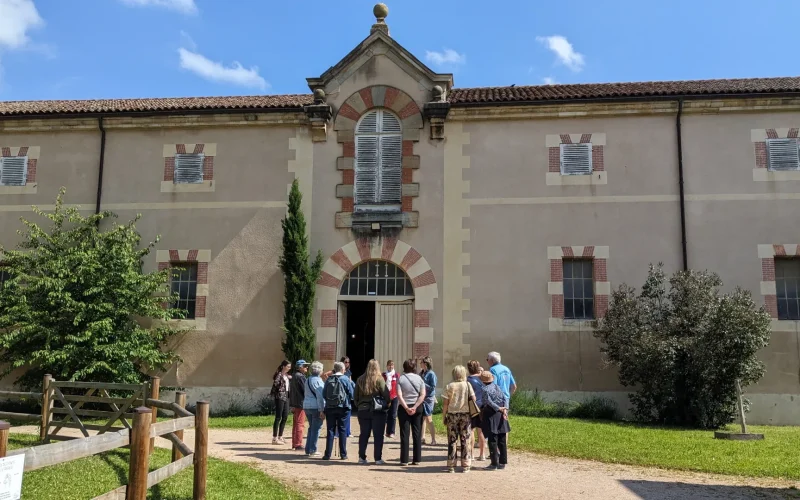 Cluny, ville du cheval en groupe