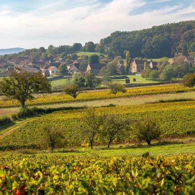 Le vignoble du Sud Bourgogne