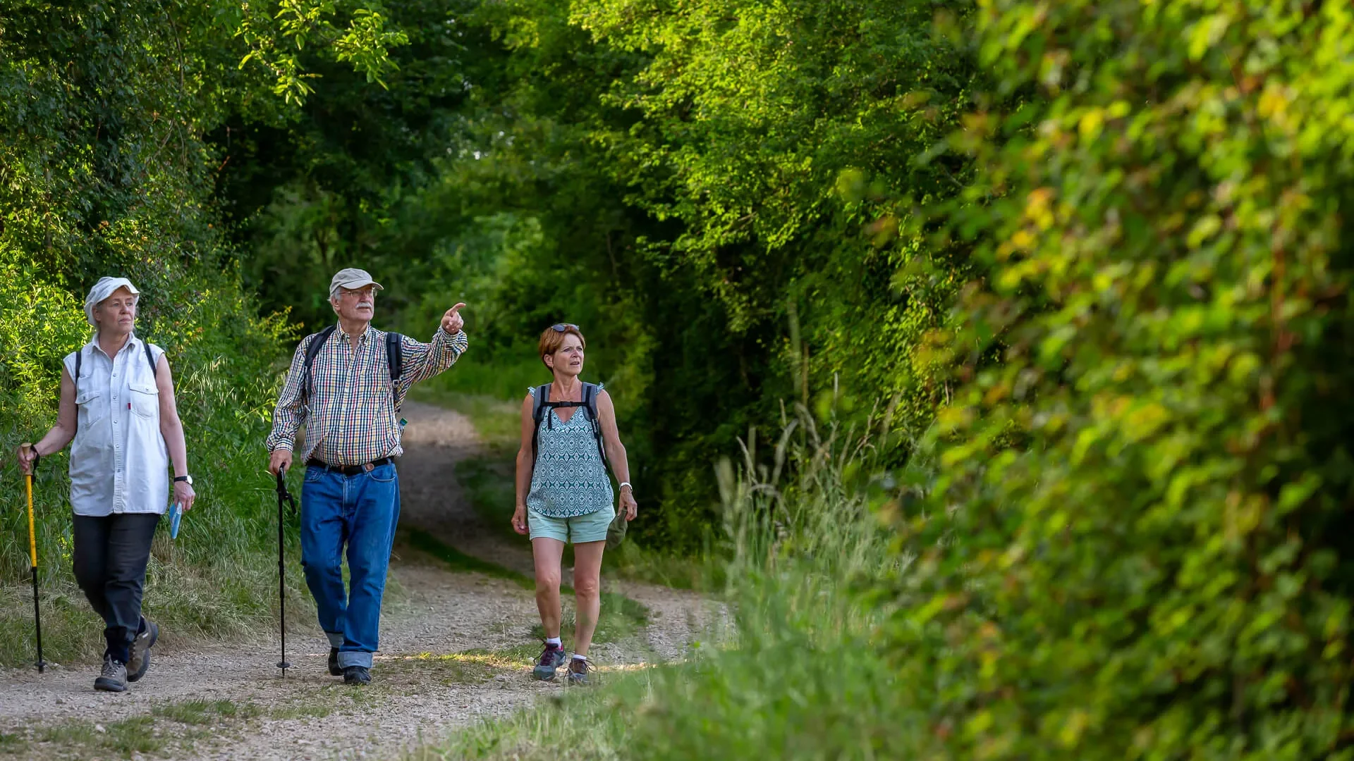 Randonnée en clunisois Sud Bourgogne