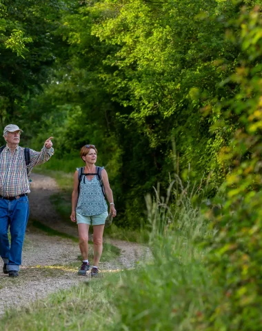 Randonnée en clunisois Sud Bourgogne