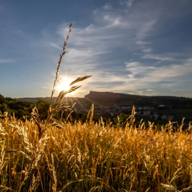 Un concentré de Bourgogne “très Sud”