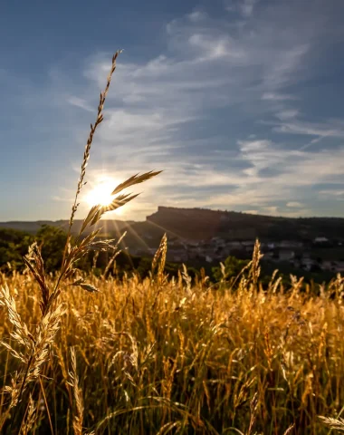 Un concentré de Bourgogne “très Sud”